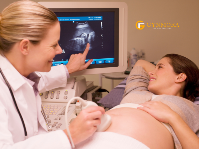 What does a Reproductive Endocrinologist do